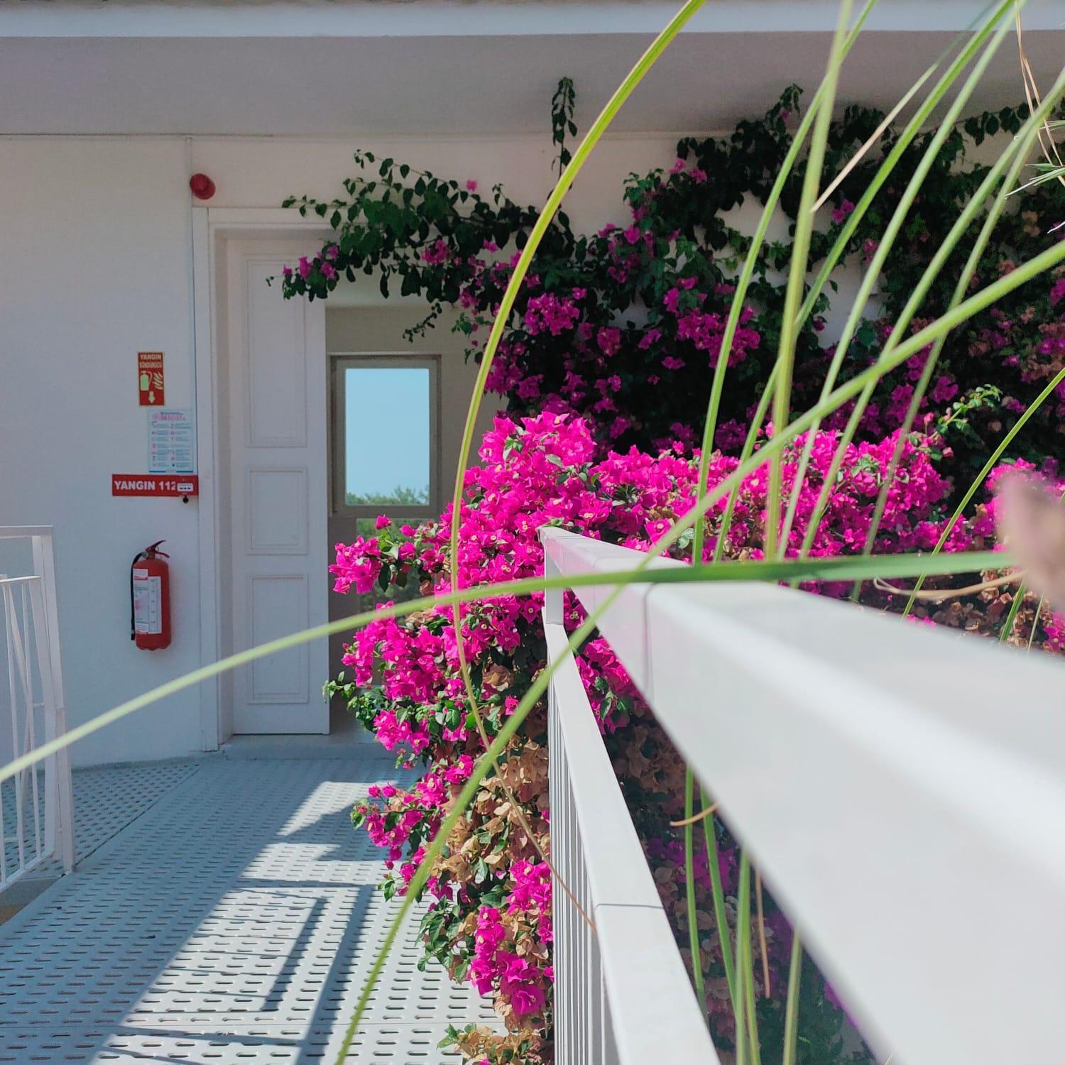 Faralya Tuz Apart Hotel Kültér fotó